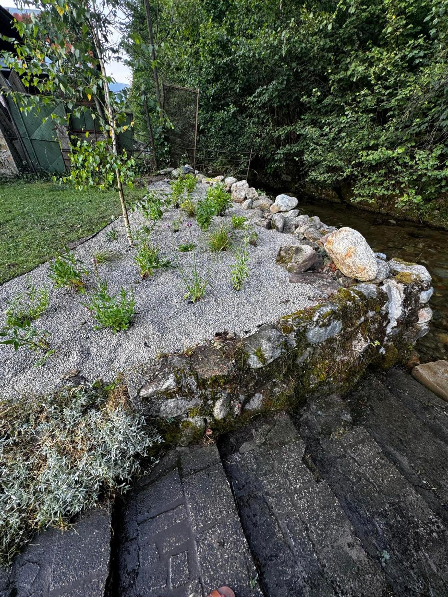 Apartmany Elli Mýto pod Ďumbierom Eksteriør bilde