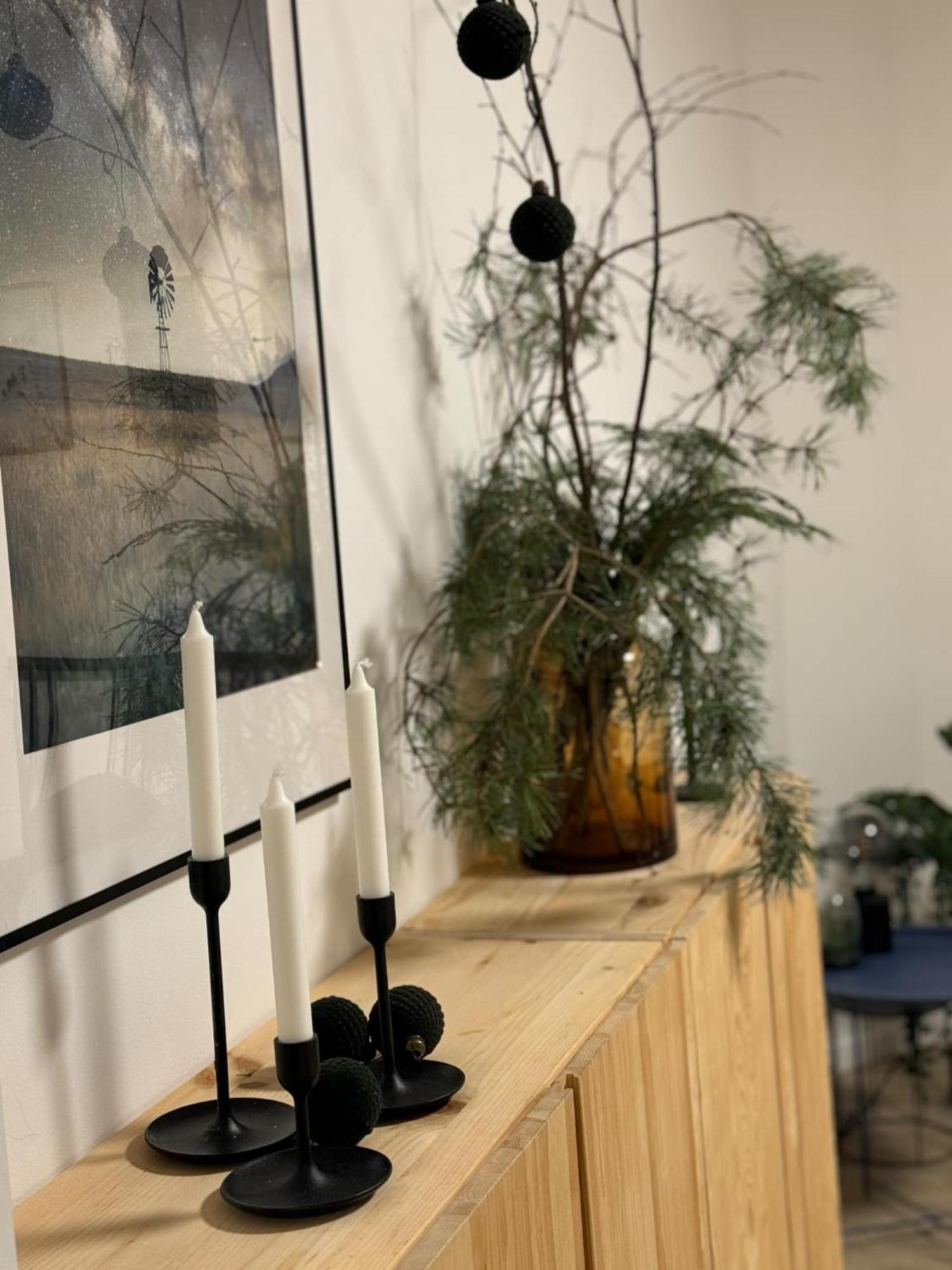 Apartmany Elli Mýto pod Ďumbierom Eksteriør bilde